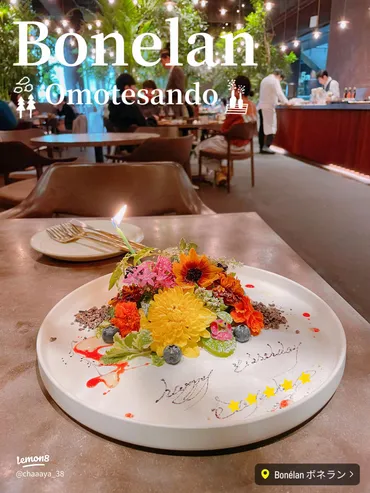 表参道のBonélanで選べるコース料理✨特別な日におすすめ🥂