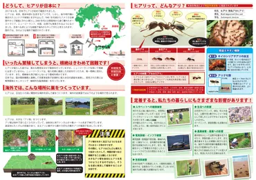 特定外来生物「ヒアリ」及び「アカカミアリ」に関するお知らせ