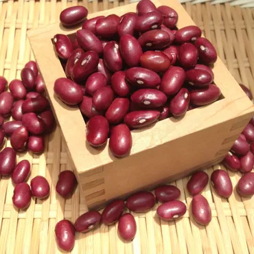 北海道産金時豆の魅力とは？栄養価と料理法を徹底解説！大正金時豆から新品種「秋晴れ」まで、金時豆の世界