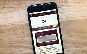 シャトレーゼのポイントカード「カシポ」の使い方を紹介！ウェブ会員登録で限定クーポン取得できる 