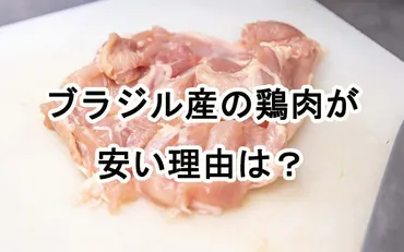 ブラジル産の鶏肉はなぜ安い?味や食感の特徴とは?