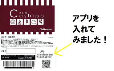 シャトレーゼのポイントシステム「Cashipo」徹底解説！お得な貯め方とは？シャトレーゼCashipoの魅力と賢い活用術