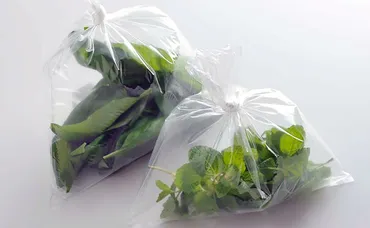 加工食品】基本はラップと保存袋の二重密閉。消費・賞味期限に使い切るのが原則 