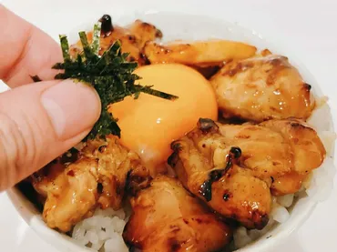 セブンイレブン「焼き鳥ももたれ(冷凍)」がウマすぎ!大容量で絶品「焼き鳥丼」アレンジを実食