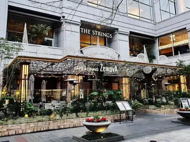 表参道グルメの新潮流？ おすすめレストランと2025年クリスマス限定ディナー情報！表参道エリアの最新グルメ情報！誕生日、女子会、クリスマスに最適なレストランを紹介