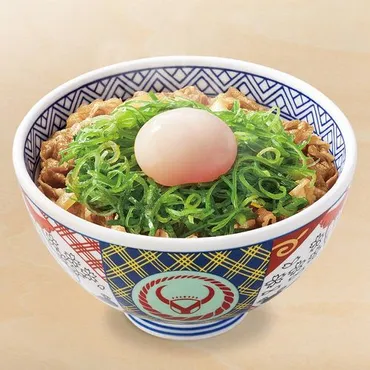 吉野家おすすめメニューランキングTOP10！人気3位「ねぎ半玉牛丼」2位「チーズ牛丼」1位は？ 