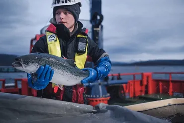 アトランド（陸上養殖サーモン）で実現する、持続可能な食と地域の未来とは？富山県入善町で始まる、三菱商事とマルハニチロの陸上養殖サーモン事業