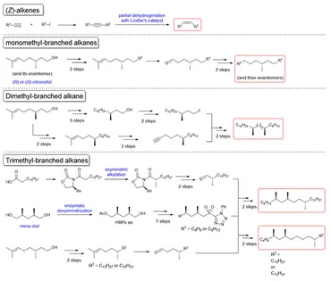 日本在来アリ由来物質の「仮想敵効果」がアルゼンチンアリやヒアリの侵入を防ぐ 