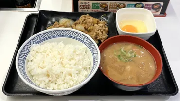 吉野家で「豚汁定食」を注文してみた（進撃のグルメ） 
