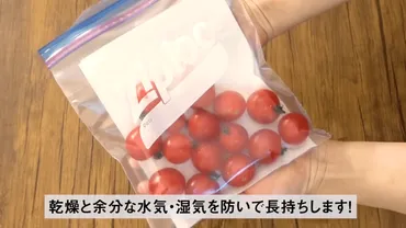 コストコ商品】目から鱗！キッチンペーパーの便利な使い方＆活用術 