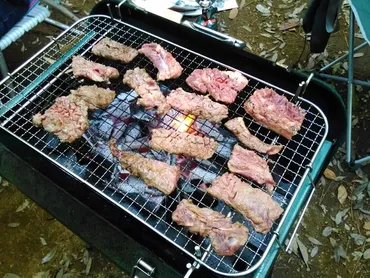 コストコのリブフィンガーがおすすめ！下処理で焼肉屋さんの味に勝てる!?