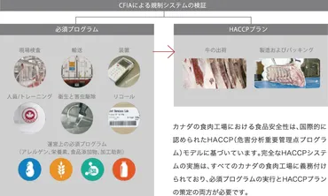 カナダ産ビーフの安全性と美味しさの秘密とは？健康管理、食品安全、品質へのこだわり、BSE対策、そして未来