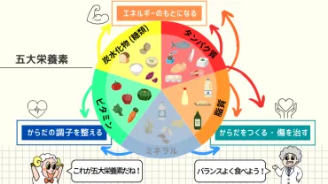 おからの冷凍保存】栄養満点のおかず＆スイーツ作りに大活躍！賞味期限やアレンジ術のヒントも 