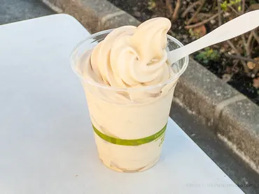 コストコフードコート完全ガイド2025！新メニューやお得な利用方法を徹底解説？2025年秋、コストコフードコートの新メニューと定番メニュー