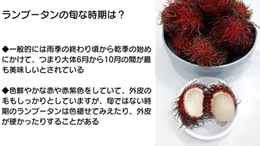 ランブータンとは？ライチとの違いや美味しい食べ方など