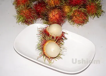 ランブータンの正しい剥き方、食べ方、保存法