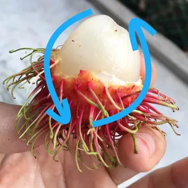 ランブータンの味・栄養価・食べ方と購入方法