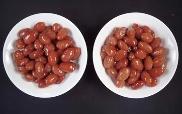 金時豆の魅力とは？〜品種改良「秋晴れ」から食卓、栽培方法まで（豆類）？秋晴れ、白花豆、そして食卓を彩る豆類の世界