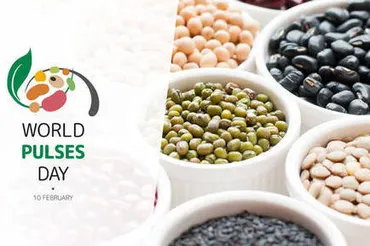 2月10日は「世界マメの日 （World Pulses Day）」 