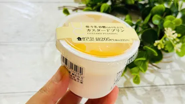 ローソン新作】スイーツ職人たちが認めた「カスタードプリン」をたべてみた（木南きなこ） 