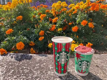 スタバ新作】ストロベリー ＆ ベルベット ブラウニーモカを飲んでみた【広島スイーツ部】 